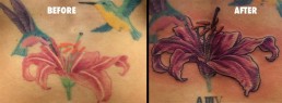 prima seduta per Copertura vecchio tatuaggio e sviluppo nuovo tatuaggio a tutta schiena con Anfitrite, dea della mitologia greca, che emerge dalle acque. Indossa un’armatura sexy, ha capelli fluenti che circondano l’immagine in cui vediamo anche tue colibrì che volano su un giglio rosa. Dietro alla dea una decorazione ispirata alle opere di Mucha. Realizzato da Jerry Magni, miglior tatuatore, Bergamo, Milano, Brescia, Piacenza, Lecco, Como, Italia, Lombardia, provincia, Lugano.