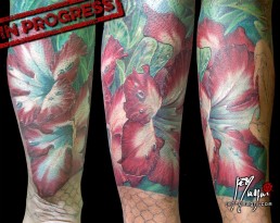 Undicesima seduta Tatuaggio a colori su intera manica. Sulla spalla una spiaggia di notte con un Galeone naufragato, una tigre spunta dai cespugli di fiori di ibisco, all’interno del braccio una medusa. Sull’avambraccio uno scorpione tra le foglie, più in basso un serpente corallo e delle rose del deserto. eseguito in modo magistrale da Jerry Magni, miglior tatuatore Bergamo, Milano, Lugano, Lecco, Como, Brescia, Lombardia provincia.